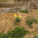 민들래농원 이미지