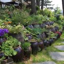 모드니 펜션 이미지