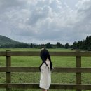 상규목장 이미지