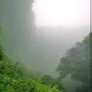 서호중앙로 | 비오는 날 제주 가볼만한 곳 엉또폭포 실패 후기 실시간 CCTV 확인 (오늘제주)