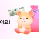 햄스터숄더 이미지