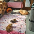 피터팬전자 이미지