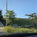 구봉낚시터 이미지