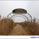 망월리 마을회관 | 강화나들길 16코스:서해황금들녘길(창후선착장~외포여객터미널)