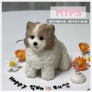 myps | 진주 애견카페 엠와이피에스(Myps), 강아지 케이크 주문 후기