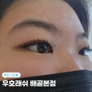 배곧 LED속눈썹연장 우호래쉬 배곧본점 ㅣ 유지력 좋은 속눈썹연장 후기