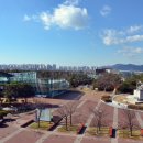 하단동1169 이미지