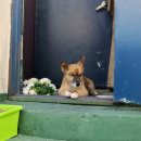 보산동관광특구 이미지