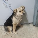 용성3리 이미지