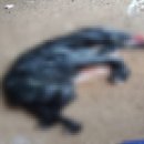 운동장길R 이미지