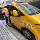 지금 용인대 국가대표 태권도장 이미지