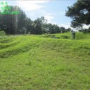 동막동(6) 이미지