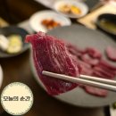 돈뭉티기 | 달서구 광코 맛집 술집 우녹집 감삼 당일 도축 육회 뭉티기 세트 후기