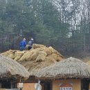 무섬마을 | 물돌이 마을 <영주, 무섬마을> 외나무다리, 사진 찍기 좋은 여행지