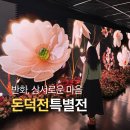 덕수궁 고궁 산책 후 만난 돈덕전 특별전 <반화, 상서로운 마음>