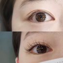 뷰티플디자인