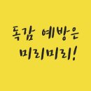 선의 빛 이미지