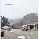 자연누리 | 홍천 글램핑 추천,자연과 편안함을 동시에 누리는 알지캠프266 후기