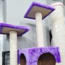 검단청소년센터(8) 이미지