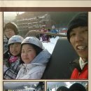 충의태권도 이미지