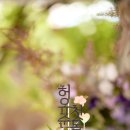 마리아플라워 네이버블로그