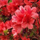 한율이네 농장 이미지