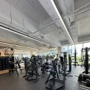 노비스 PT 이미지