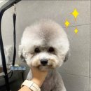 마음동물병원 이미지