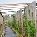 한수농장 이미지