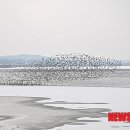 (주)금강닷컴 이미지