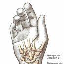 져스트 짐 이미지