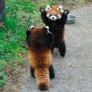 신세계2PC | 천안 데이트 코스 추천 2탄! 맛집, 카페 방문후기 < 엘메코/ 231커피 >