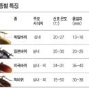 이서아빠해충방역