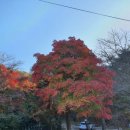 빛고을공인중개사사무소 이미지