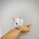 매산리 538 이미지