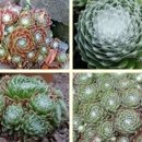 영원초등학교 이미지