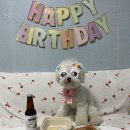 개르메스 이미지