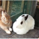 시월에농장 이미지