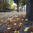 화양동관광농원 이미지