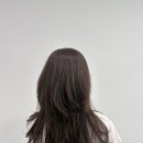 실버미용실 - 익산시 | 배곧미용실 추천, 레이어드컷 잘하는 실버라이닝 후기