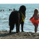 씻겨줄개 이미지