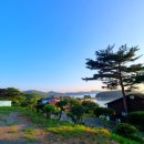 서산소나무힐링 이미지