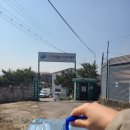 한국동물구조관리협회 | 이런 입양은 처음… 펫테일 저빌 데려온 이야기 (한국동물구조관리협회)