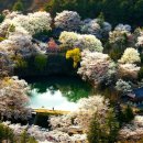 곰실화장실 이미지