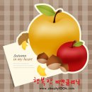 준메디칼 이미지