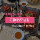 희락 티스토리