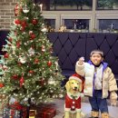 형제고기야 | 삼형제고기 벌집삼겹살 후기 캠핑고기 여행 준비 끝