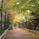 과천여자고등학교 이미지