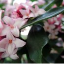 천리향한의원 이미지