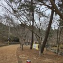 냉천골공원 이미지